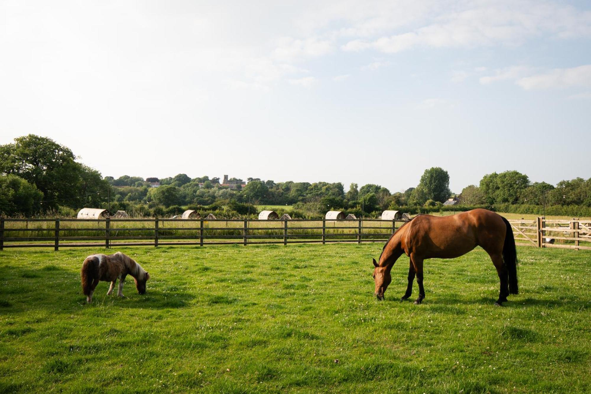 Sedgewell Barn By Wigwam Holidays Northallerton Exteriér fotografie